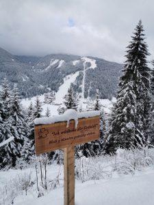 Eine Winterschlandschaft mit Talaussicht.