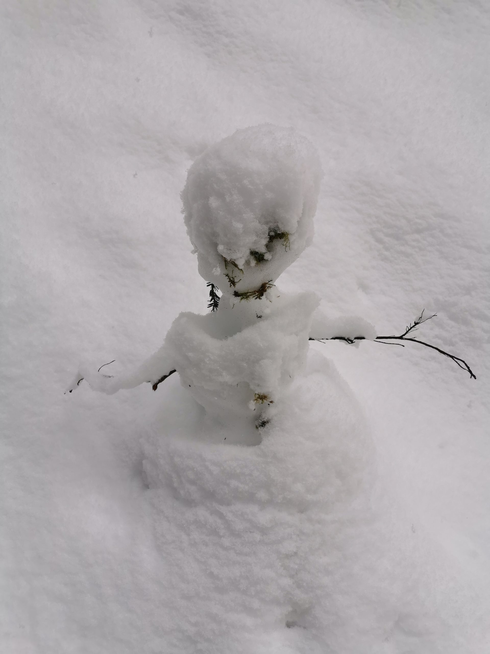 ZPARTNER Wintermeeting 2020 – @ St. Johann im Pongau